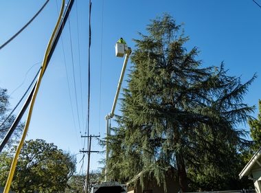 SCE Spearheads Global Effort to Reduce Wildfire Risk