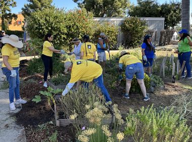 Edison Volunteers Dig In for Biodiversity