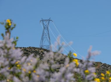 SCE's New Tool Determines How Susceptible Vegetation is to Wildfires