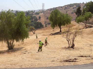 Cutting Back Weeds Pushes Back Wildfire Risk