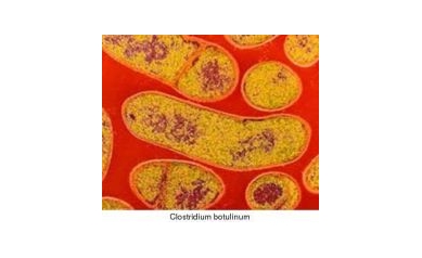 Nose-Spray Vaccine Against Botulism Effective in Early Tests