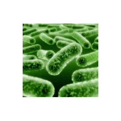 New Bone Cement May Prevent Amputations