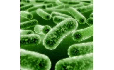 New Bone Cement May Prevent Amputations