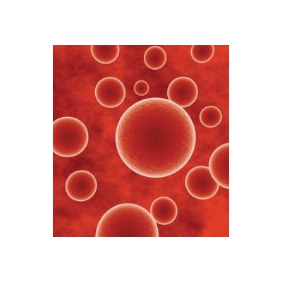 Researchers Block Immune Cell Rush Behind Deadly Sepsis