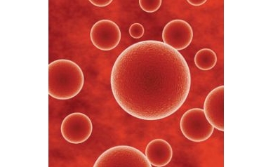 Researchers Block Immune Cell Rush Behind Deadly Sepsis