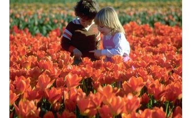 Charity Events are Booming as Flowers Begin Blooming