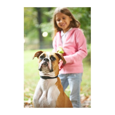 Pets Underfoot Could Mean a Trip to the ED