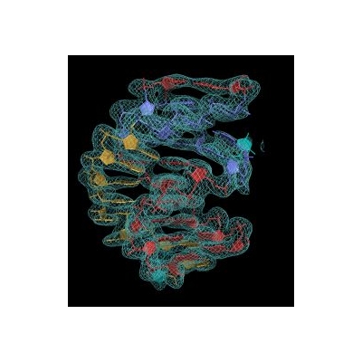 Genetic Switch Potential Key to New Class of Antibiotics