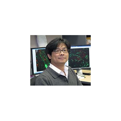 Brain Protein Central to Both Parkinson’s, Drug Addiction Identified