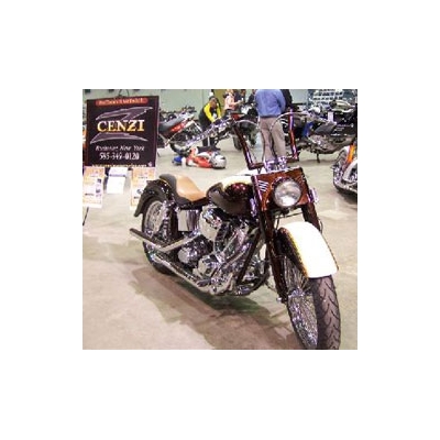 Custom Motorcycle Drawing Benefits Wilmot Cancer Center