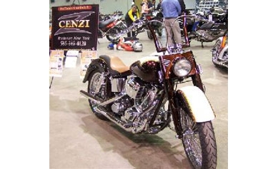 Custom Motorcycle Drawing Benefits Wilmot Cancer Center
