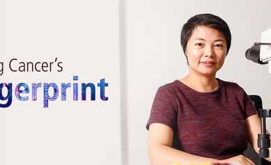 Finding Cancer's Fingerprint