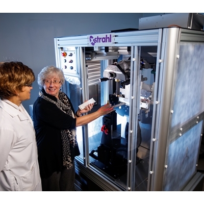 Cellular Environment Surrounding Cancer Cells: Friend or Foe?