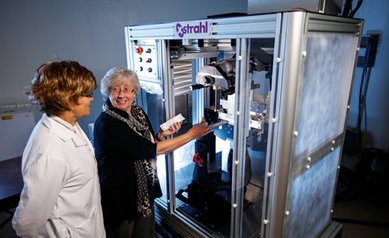 Cellular Environment Surrounding Cancer Cells: Friend or Foe?