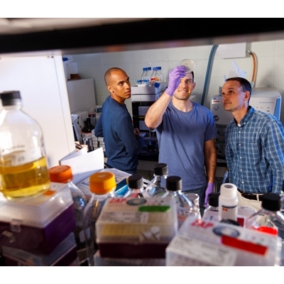 Hot Topic: Manipulating Cell Metabolism to Attack Cancer