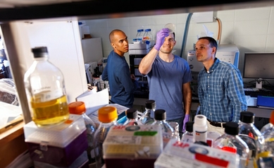 Hot Topic: Manipulating Cell Metabolism to Attack Cancer
