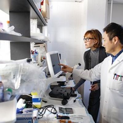 Looking to RNA for Answers