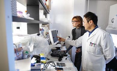 Looking to RNA for Answers