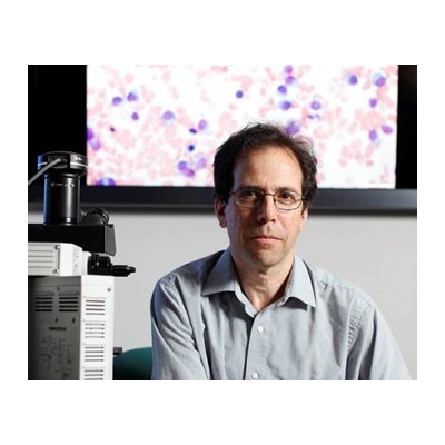 Lymphoma: Looking for Clues in the Immune System