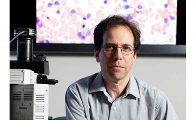 Lymphoma: Looking for Clues in the Immune System