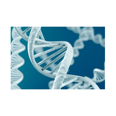Precision Medicine: Changing the Way We Treat Cancer