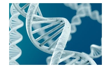 Precision Medicine: Changing the Way We Treat Cancer