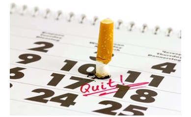 Time to Quit? Smoking Facts to Chew On