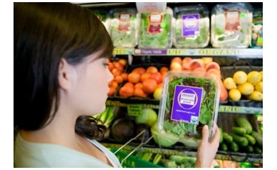 To Go Organic, or Not to Go Organic: That Is the Question