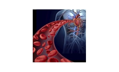New Discovery May Help Prevent Clotting After Heart Attack