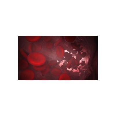 Hematology Event Draws Wilmot Scientists, New Data