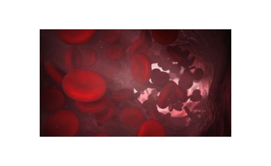 Hematology Event Draws Wilmot Scientists, New Data