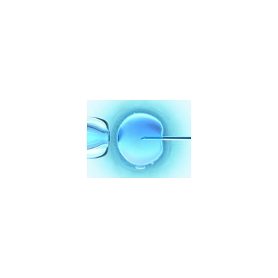 URMC Joins Infertility Research Network