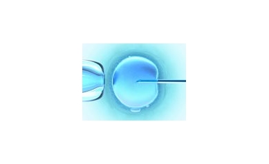 URMC Joins Infertility Research Network
