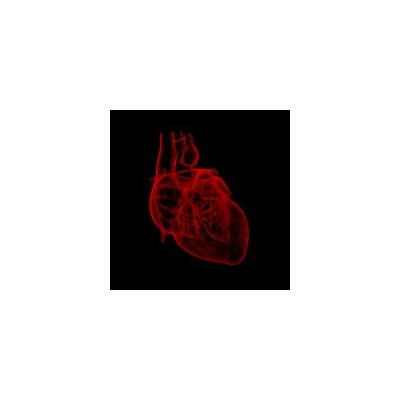 With a Tiny Video Camera, Physicians Improve Heart Valve Surgery