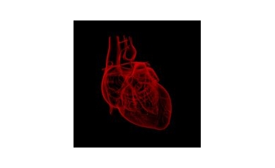 With a Tiny Video Camera, Physicians Improve Heart Valve Surgery