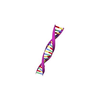 What rare diseases do we study at URMC?