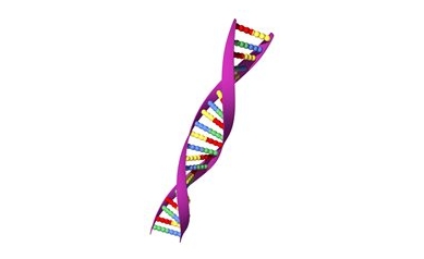 What rare diseases do we study at URMC?