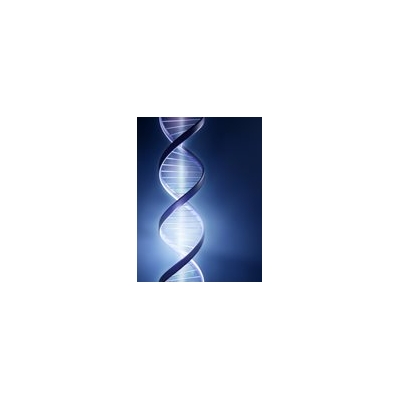 Cardiovascular Research Institute Hosts International Conference on Gene Expression