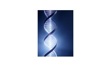 Cardiovascular Research Institute Hosts International Conference on Gene Expression