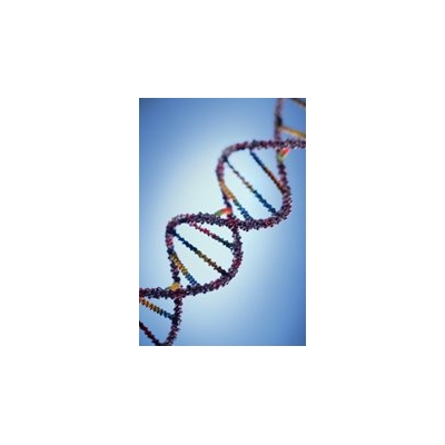 Boxing In Cancer Genes, Boxing Out Disease