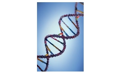 Boxing In Cancer Genes, Boxing Out Disease
