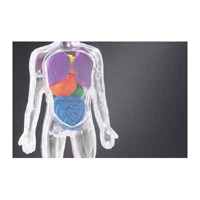 Origins of Esophageal Cancer: Inflammation in the Gut