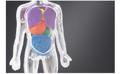 Origins of Esophageal Cancer: Inflammation in the Gut
