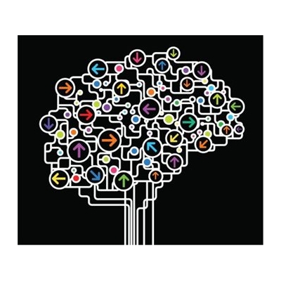 Unraveling the Mysteries of the Blood-Brain Barrier