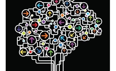 Unraveling the Mysteries of the Blood-Brain Barrier