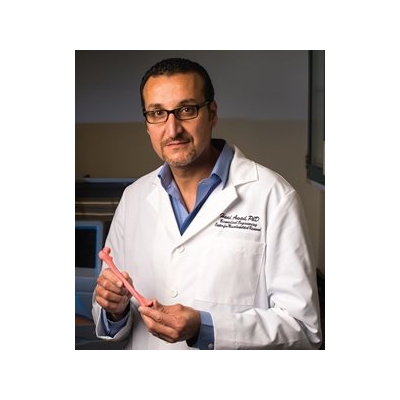 Gene and Stem Cell Therapies May Help Heal Fractures