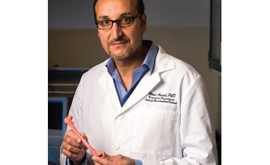 Gene and Stem Cell Therapies May Help Heal Fractures