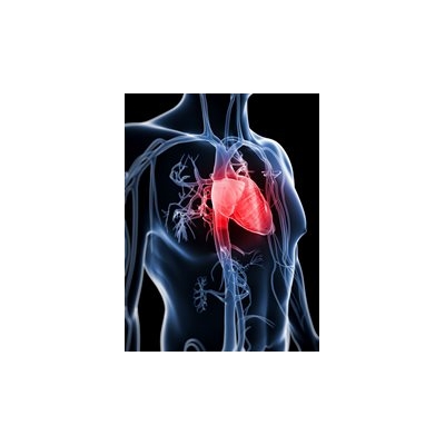 Stopping Heart Failure: A Two-Pronged Approach