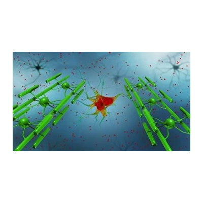 New Understanding of Lethal Brain Infection