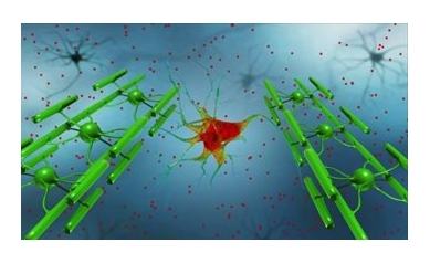 New Understanding of Lethal Brain Infection